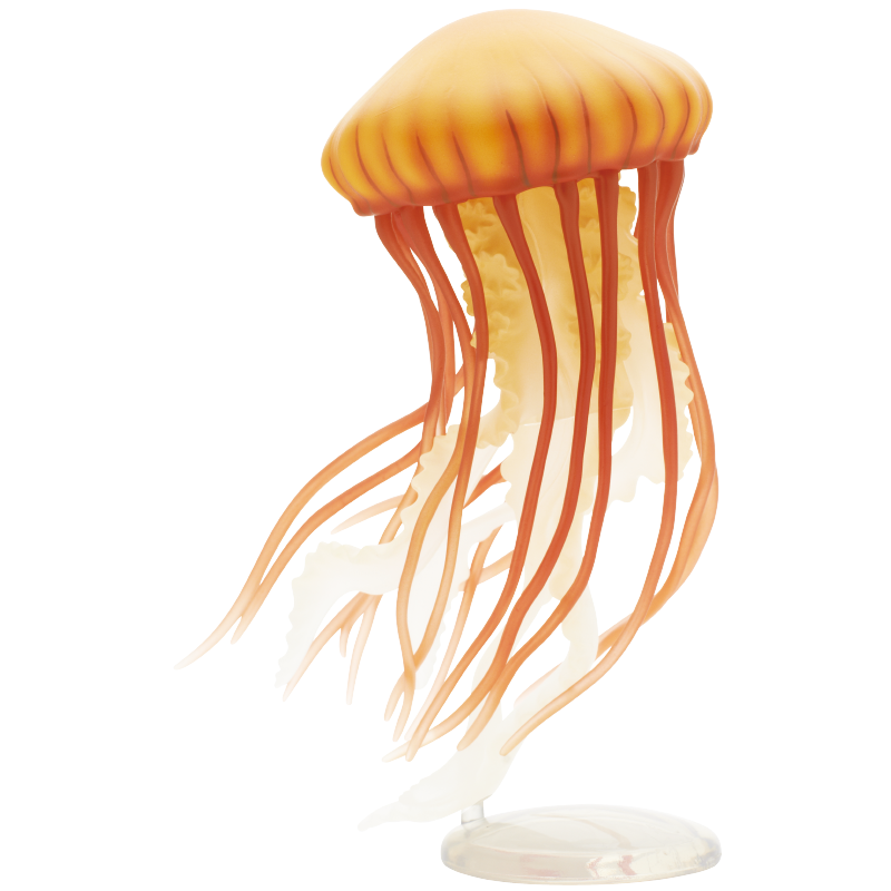 Kwallen Gashapon Figuur Kitan  - Outdoor Lighting Jellyfish recensie en prijs